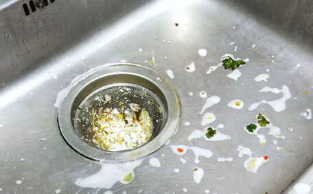 pre-purchase plumbing inspections ?